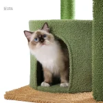 Structure d'escalade pour chats dans un style vert naturel