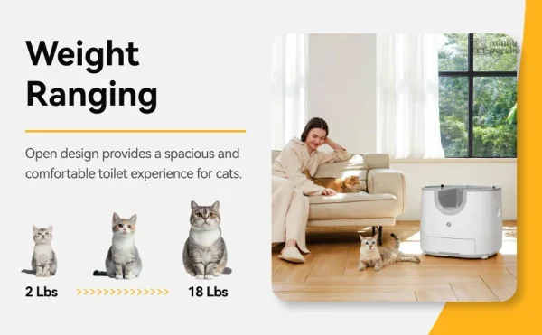 Bac à litière spacieux pour chats
