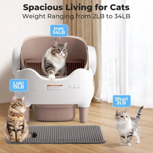 Solution moderne de litière pour chats : SmartOpen Care