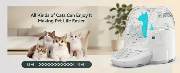 Bac de litière ergonomique pour chats
