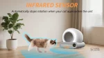 Bac à litière pour un chat en toute autonomie