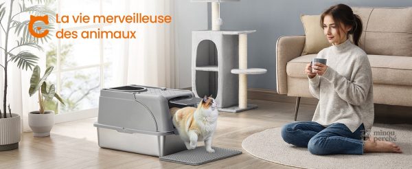 Bac à litière pour chat, facile à nettoyer