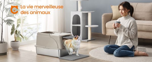Design élégant pour le bac à litière chat