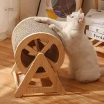 Roue d'Exercice pour Chat - WhiskerWheel