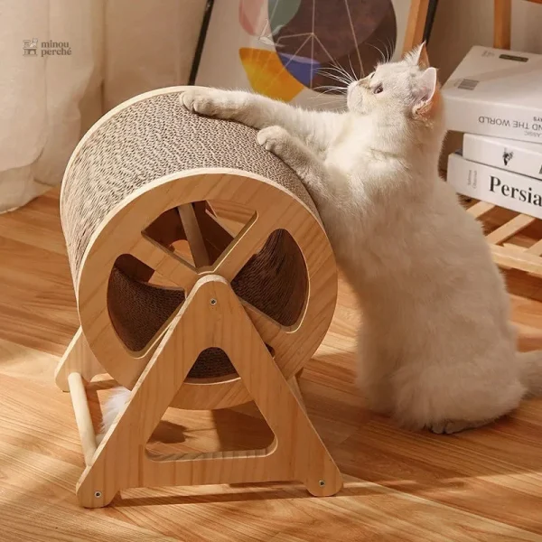 Roue d'Exercice pour Chat - WhiskerWheel