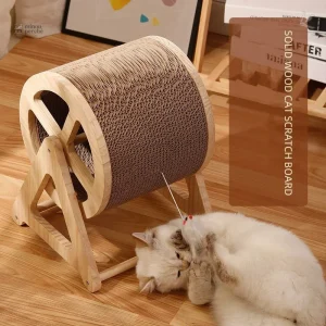 Roue à chat design moderne pour l'exercice félin