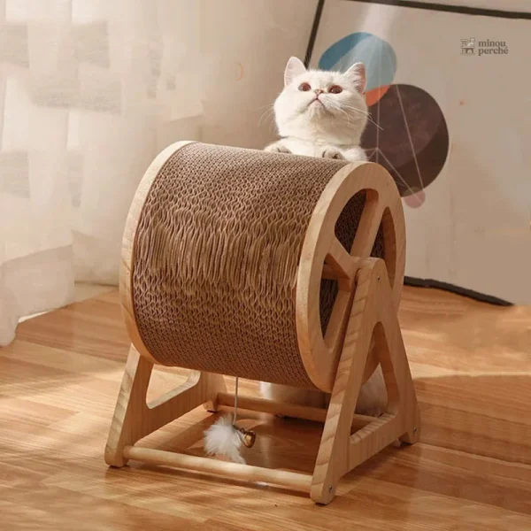 Roue d'exercice silencieuse adaptée aux chats