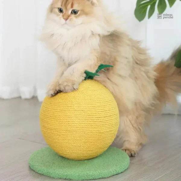 Jouet en sisal pour chat, design fruit coloré