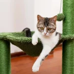 Arbre à chat Cactou, modèle économique et fun
