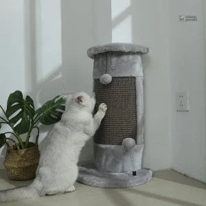 Griffo : Arbre à chat design pour griffades