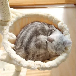 Villa pour chats intégrée dans l'arbre ChâteauFélin