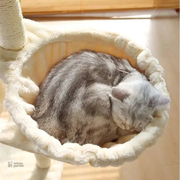 Villa pour chats intégrée dans l'arbre ChâteauFélin