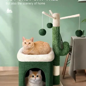 Cactolove : arbre à chat au design cactus original