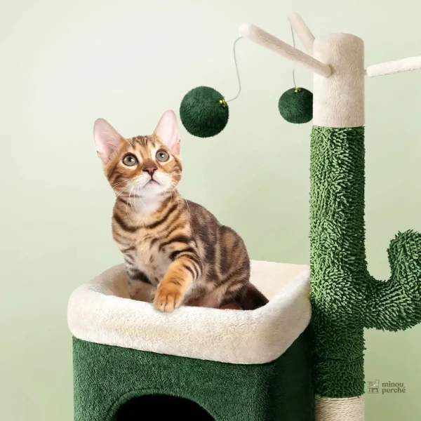Nid douillet intégré pour un confort optimal des chats