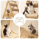 Modèle Aventurichat : design pratique pour les félins