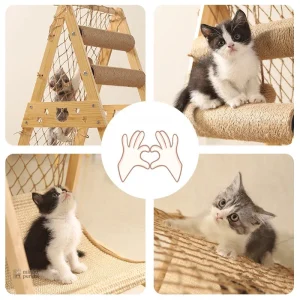 Modèle Aventurichat : design pratique pour les félins