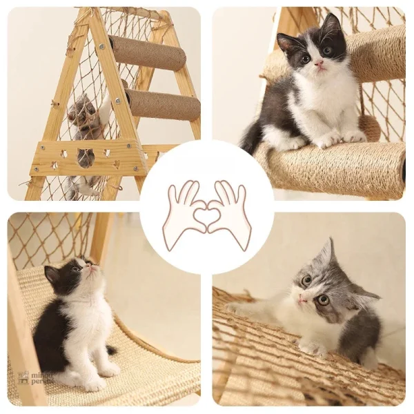 Modèle Aventurichat : design pratique pour les félins