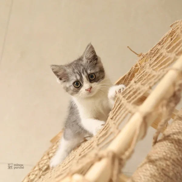 Hamac inclus sur l'arbre à chat en bois naturel