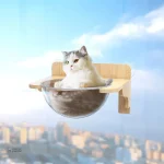 Espace de jeu pour chat avec étagères murales