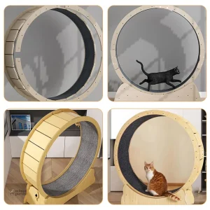 Tapis de grattage pratique pour chats à découper soi-même