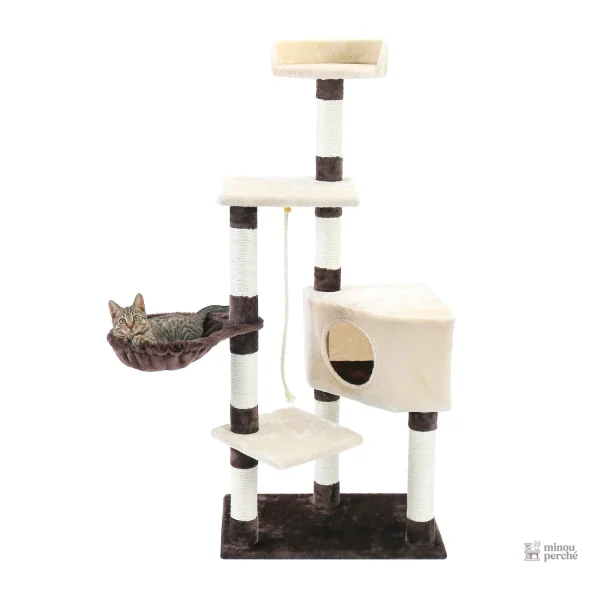 Arbre à chat tendance avec zone litière