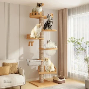 Arbre à chat XXL en bois naturel, modèle SkyCat