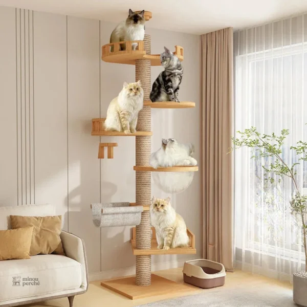 Arbre à chat XXL en bois naturel, modèle SkyCat