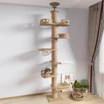 Design élégant pour l'intérieur, bois naturel