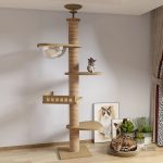 Confort et sécurité pour les gros chats