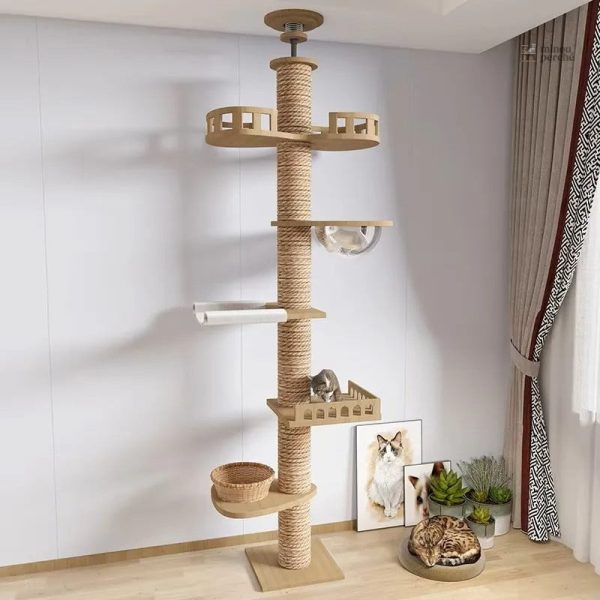 Espace de repos pour chats de grande taille