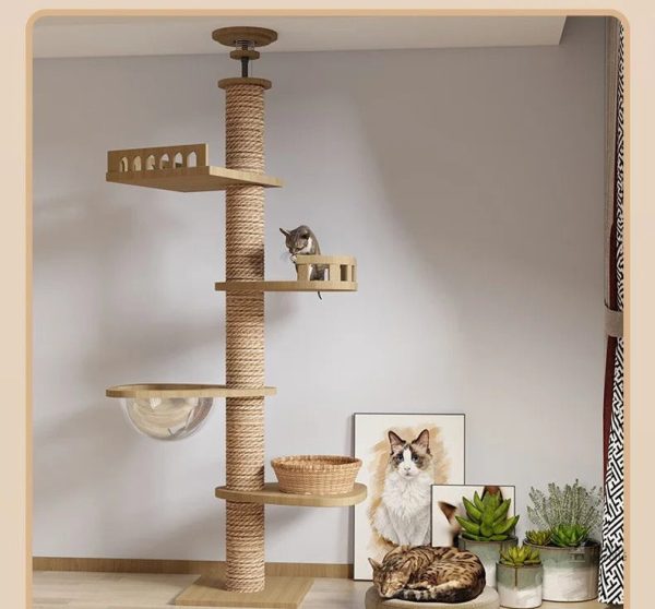 Arbre à chat haut de gamme en bois