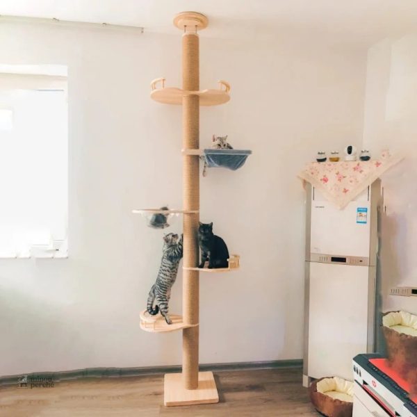 Hamac inclus pour un confort optimal