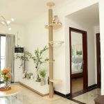 Structure robuste pour chats de grande taille