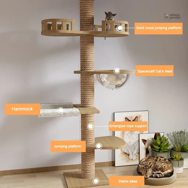 Arbre à chat spacieux en bois naturel