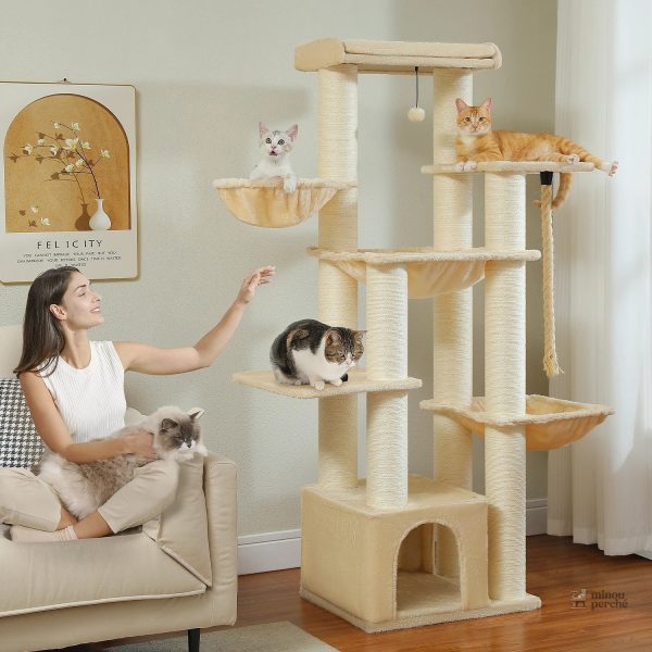 Espaces de repos et d'escalade pour Maine Coons, MaxiPlaisir