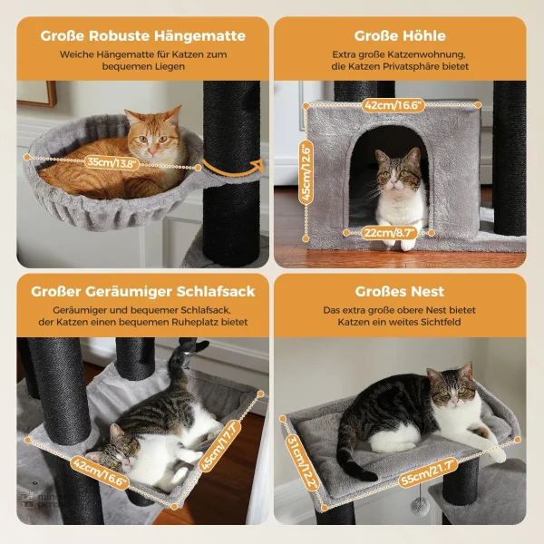 MaxiPlaisir : refuge parfait pour les chats de grande taille