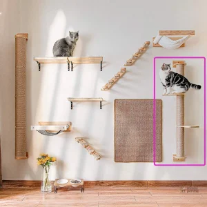 Griffoir mural avec plateformes pour le jeu des chats