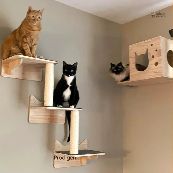 Support en bois pour gamelles de chat, design élégant