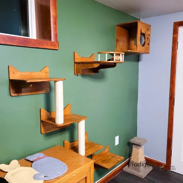 GourmetMur : solution pratique pour chats gourmets