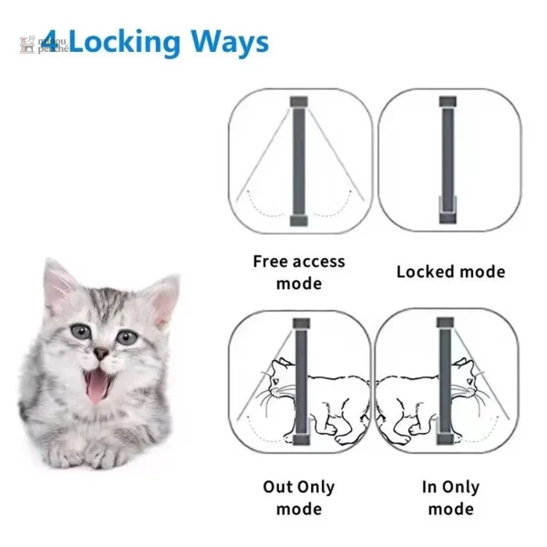 Chatière pour chat avec accès contrôlé
