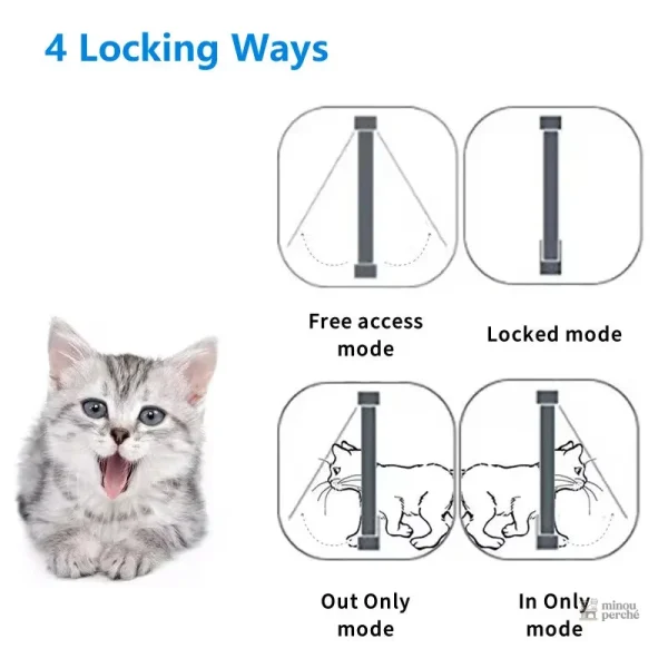 Chatière moderne pour chats en toute sécurité