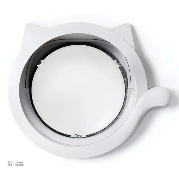 Design créatif de chatière pour félin