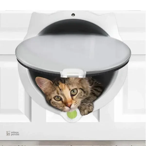 Chatière innovante au style unique