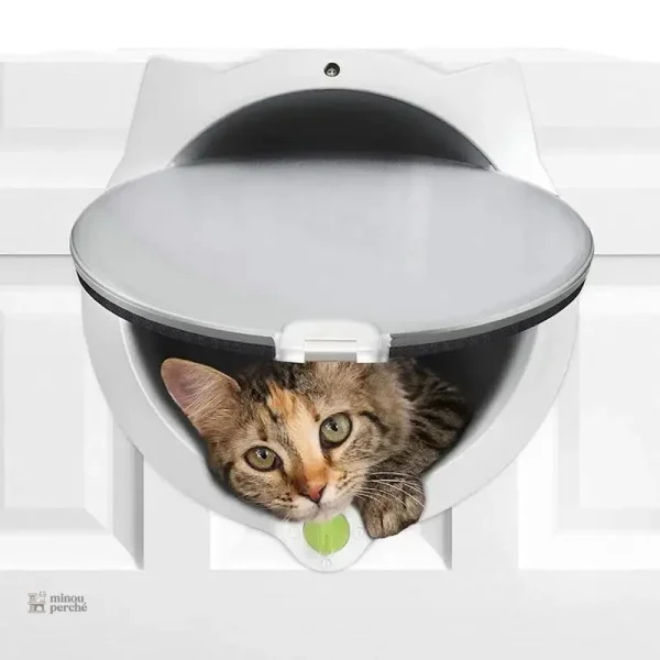 Solution pratique pour animaux domestiques