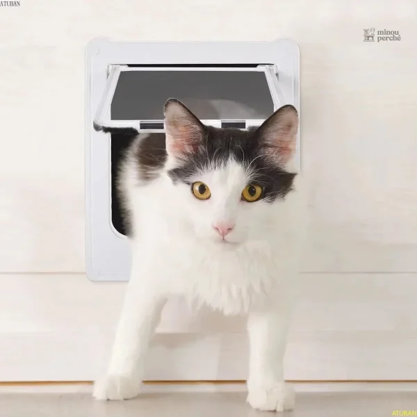 Porte intérieure pour chat avec fonctionnalités polyvalentes