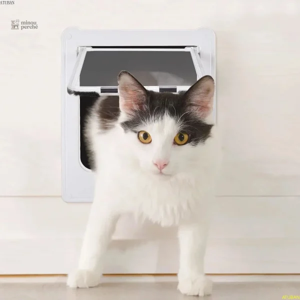 Chatière pour chat avec options de verrouillage innovantes
