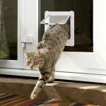 Porte pour chat, design élégant et fonctionnel