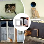 Chatière pour chat avec design moderne