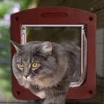 Chatière Cocoon Liberté : accès facile pour chat