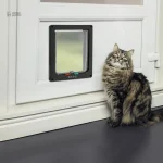 Chatière innovante pour un accès facilité